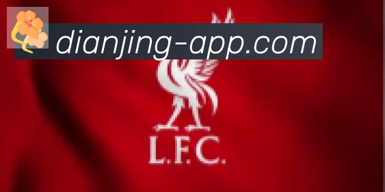 IM电竞合作伙伴